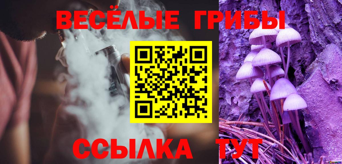 Псилоцибиновые грибы Cubensis Еманжелинск