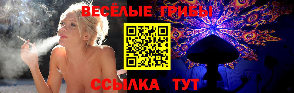 Еманжелинск  Галлюциногенные грибы мухоморы  хочу наркоту  Вход с VPN 